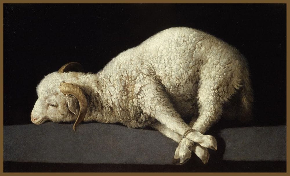 Cordero de Zurbarán