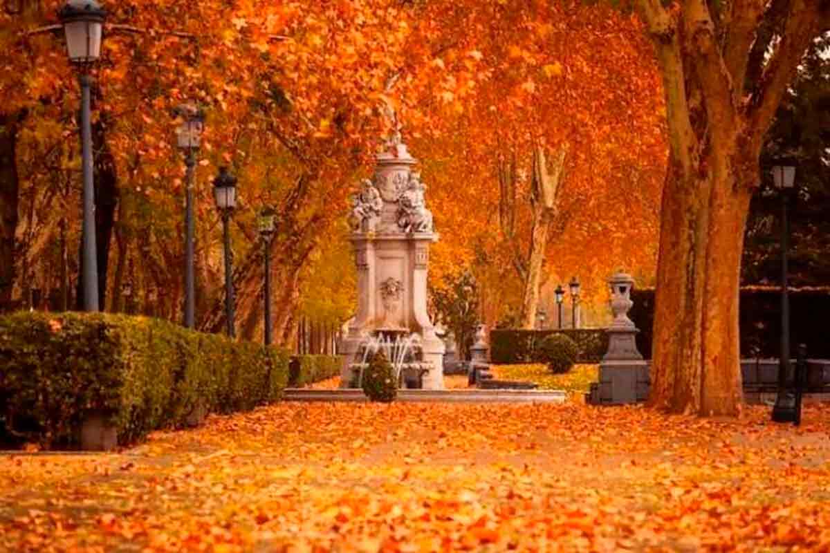 Parque Retiro Madrid