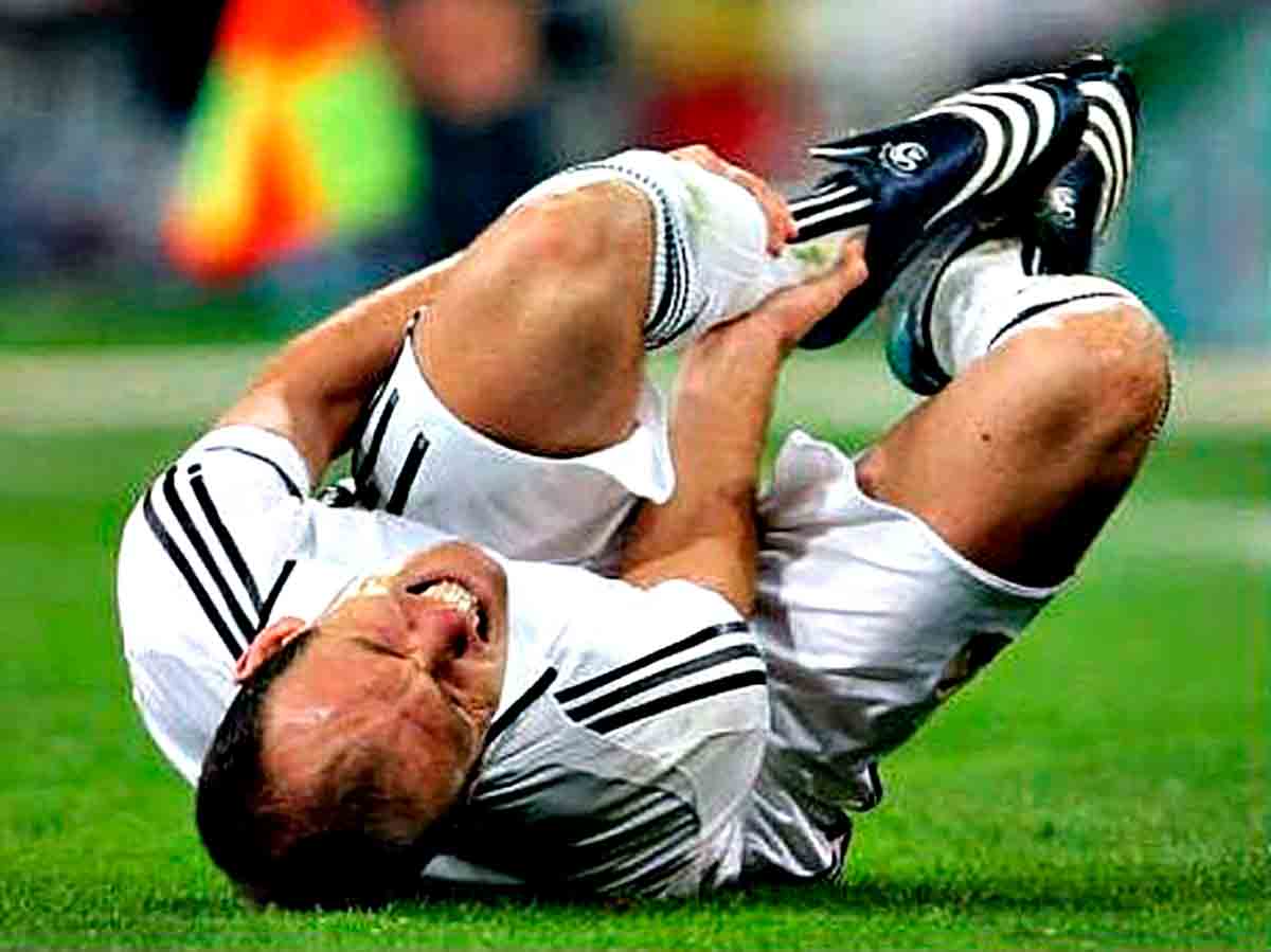 Robben