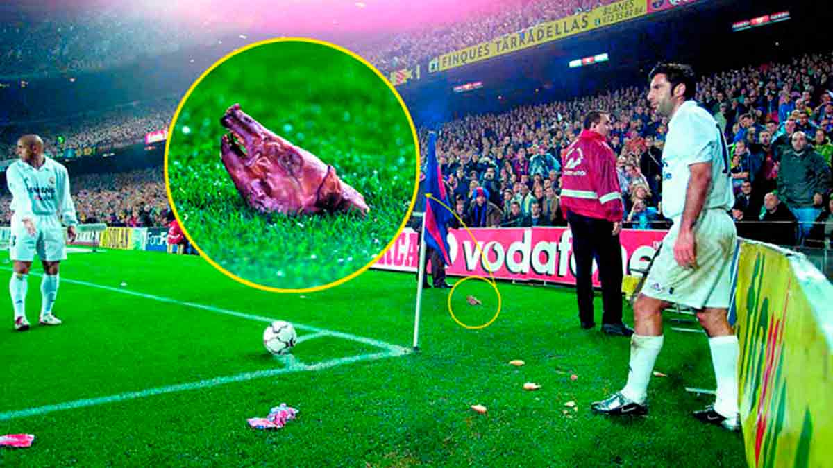Figo cochinillo